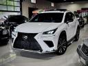 NX300 F-SPORT